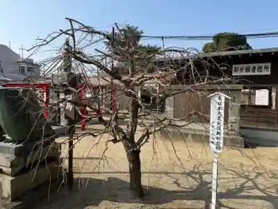 水田天満宮の{uncategorized: "未分類", other: "その他", undefined: "問題あり", building: "その他建物", grave: "お墓", sacred_gate: "鳥居", guardian: "狛犬", statue: "像", buddha: "仏像", history: "歴史", nature: "自然", garden: "庭園", animal: "動物", pagoda: "塔", temizu: "手水舎", mountain_gate: "山門・神門", sanctuary: "本殿・本堂", subordinate: "末社・摂社", art: "芸術", scenery: "景色", jizo: "地蔵", ema: "絵馬", goshuin: "御朱印", omikuji: "おみくじ", items: "授与品その他", amulet: "お守り", goshuincho: "御朱印帳", eats: "食事", festival: "お祭り", votive_dance: "神楽", shichigosan: "七五三参", wedding: "結婚式", experience: "体験その他", initially: "初詣", around: "周辺", anti_infection: "感染症対策"}