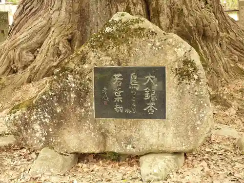 飛騨国分寺の歴史