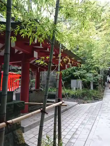 來宮神社の手水舎