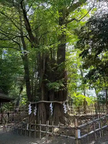 大國魂神社(東京都)