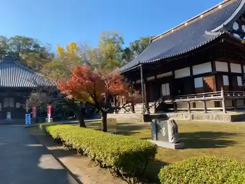 善導寺の本殿・本堂