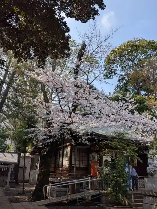 神明氷川神社(東京都)