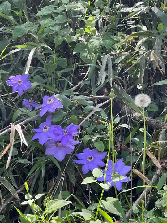 大宮温泉神社(栃木県)