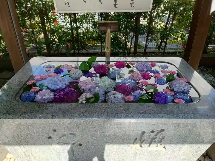 桜神宮(東京都)