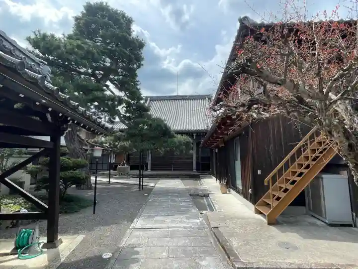 誓敬寺の{uncategorized: "未分類", other: "その他", undefined: "問題あり", building: "その他建物", grave: "お墓", sacred_gate: "鳥居", guardian: "狛犬", statue: "像", buddha: "仏像", history: "歴史", nature: "自然", garden: "庭園", animal: "動物", pagoda: "塔", temizu: "手水舎", mountain_gate: "山門・神門", sanctuary: "本殿・本堂", subordinate: "末社・摂社", art: "芸術", scenery: "景色", jizo: "地蔵", ema: "絵馬", goshuin: "御朱印", omikuji: "おみくじ", items: "授与品その他", amulet: "お守り", goshuincho: "御朱印帳", eats: "食事", festival: "お祭り", votive_dance: "神楽", shichigosan: "七五三参", wedding: "結婚式", experience: "体験その他", initially: "初詣", around: "周辺", anti_infection: "感染症対策"}