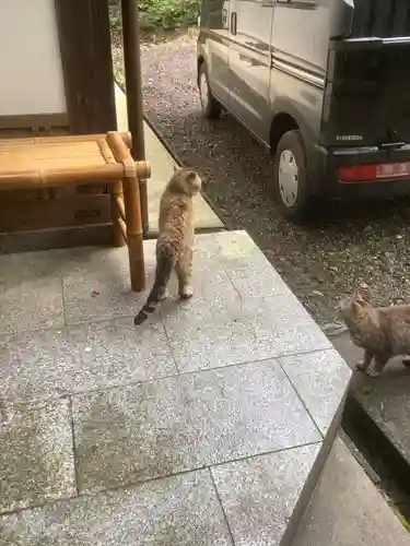 玉野御嶽神社の動物