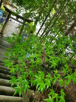 滑川神社 - 仕事と子どもの守り神の鳥居