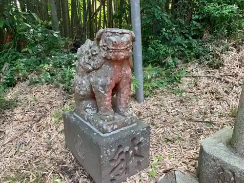 玉前神社の狛犬