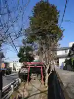 亀の子石神社(亀の子様)の鳥居