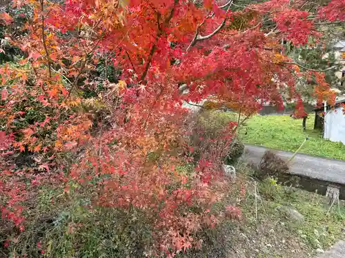 聖林寺(奈良県)