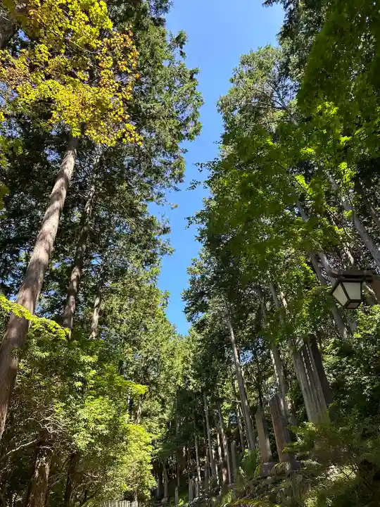 三峯神社(埼玉県)