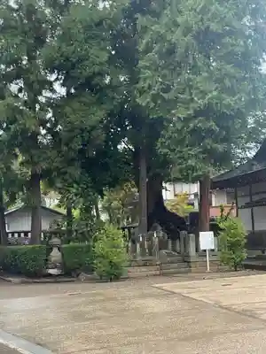 武水別神社(長野県)