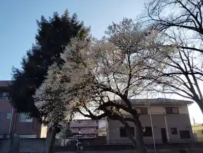 邑楽護国神社(群馬県)