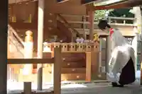 伊勢山皇大神宮のお祭り