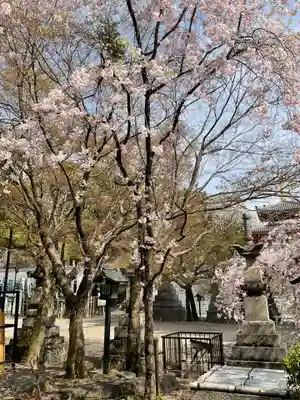 八事山 興正寺(愛知県)