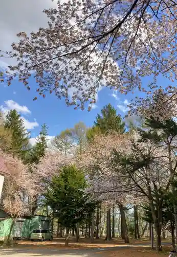 大谷地神社の景色