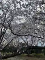 貴船神社の自然