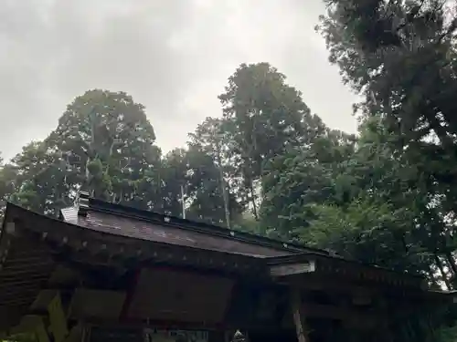 大宮温泉神社(栃木県)