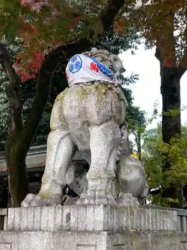 秩父神社の狛犬