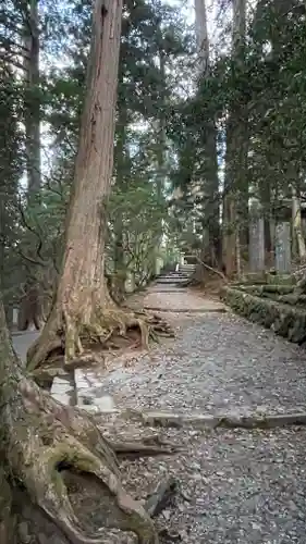 三峯神社(埼玉県)