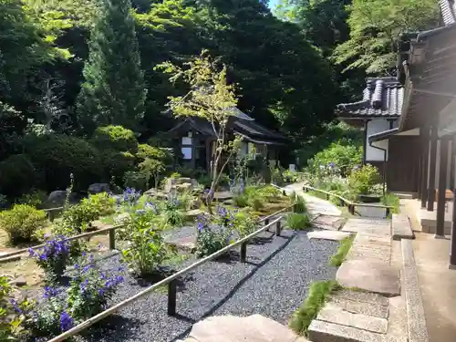 観音寺の庭園