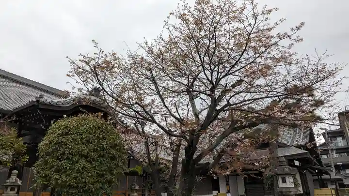 妙傳寺(京都府)
