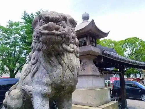 西古渡神社の狛犬