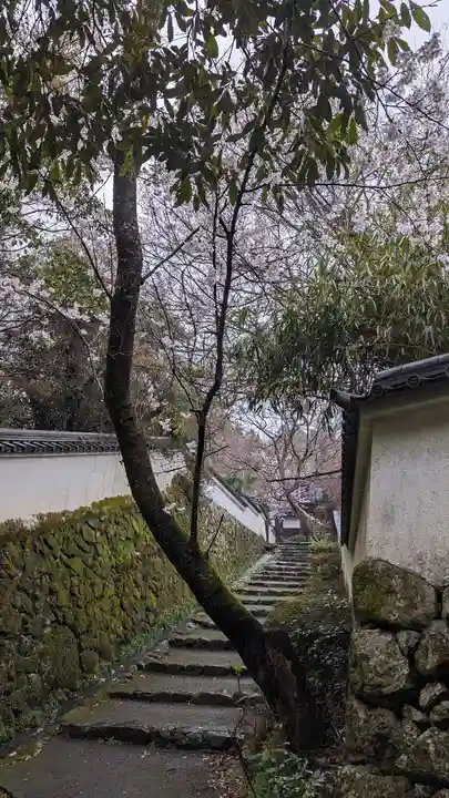 勝持寺(花の寺)(京都府)