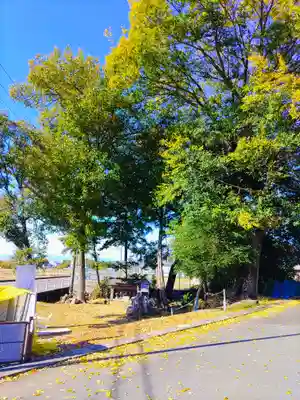津島神社・仏堂(前原)の自然