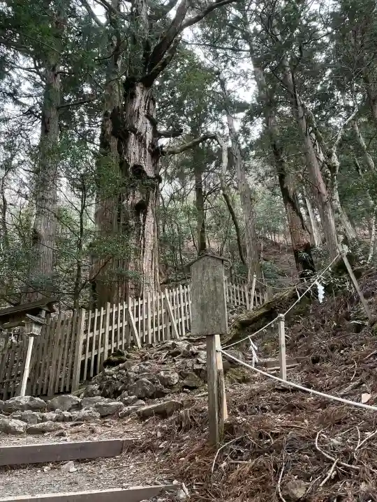 玉置神社の{uncategorized: "未分類", other: "その他", undefined: "問題あり", building: "その他建物", grave: "お墓", sacred_gate: "鳥居", guardian: "狛犬", statue: "像", buddha: "仏像", history: "歴史", nature: "自然", garden: "庭園", animal: "動物", pagoda: "塔", temizu: "手水舎", mountain_gate: "山門・神門", sanctuary: "本殿・本堂", subordinate: "末社・摂社", art: "芸術", scenery: "景色", jizo: "地蔵", ema: "絵馬", goshuin: "御朱印", omikuji: "おみくじ", items: "授与品その他", amulet: "お守り", goshuincho: "御朱印帳", eats: "食事", festival: "お祭り", votive_dance: "神楽", shichigosan: "七五三参", wedding: "結婚式", experience: "体験その他", initially: "初詣", around: "周辺", anti_infection: "感染症対策"}