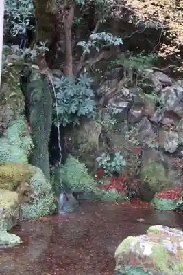 慈照寺（慈照禅寺・銀閣寺）(京都府)