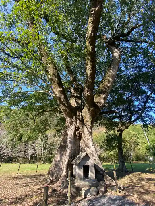 天石門別神社(岡山県)