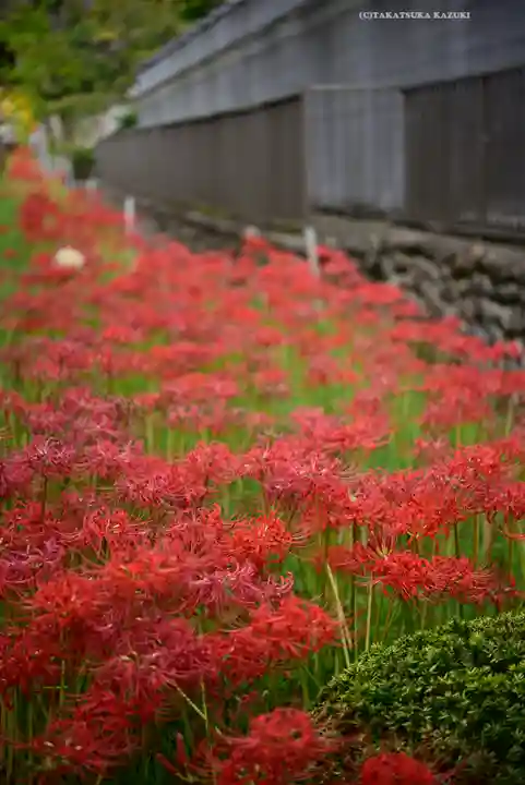 横浜 西方寺(神奈川県)
