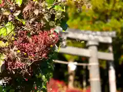 菱野健功神社(長野県)