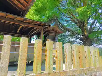 十二所社（野崎）の本殿・本堂