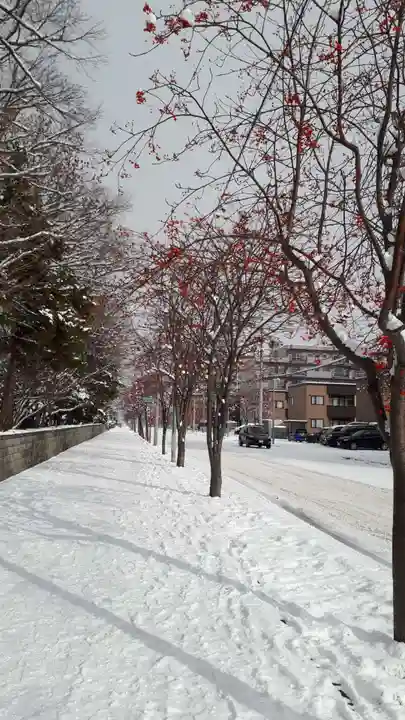 新琴似神社の周辺