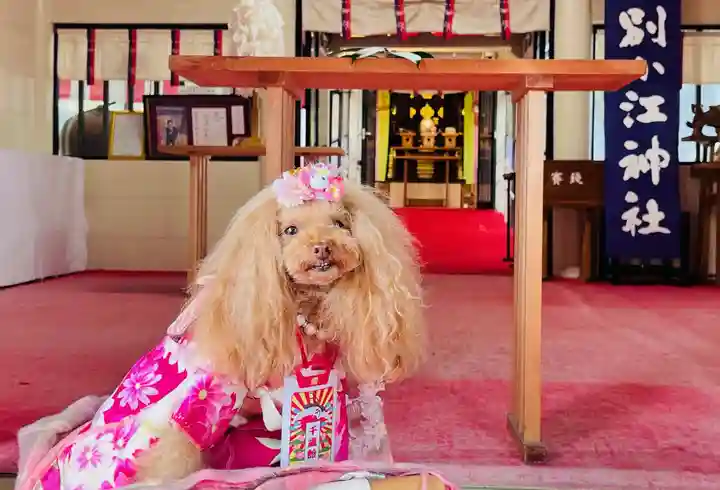 別小江神社の動物