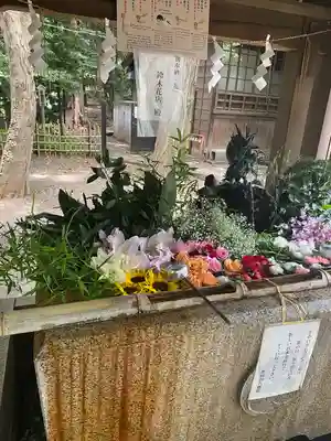 世田谷八幡宮(東京都)