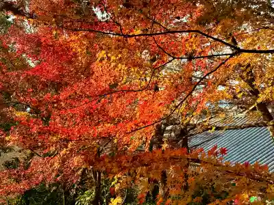 禅林寺(永観堂)(京都府)