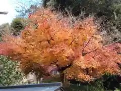 海蔵寺(神奈川県)