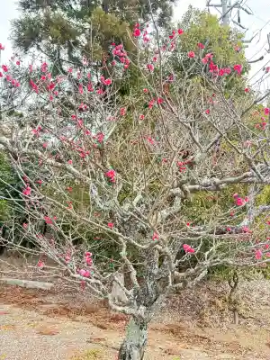 菅原神社の{uncategorized: "未分類", other: "その他", undefined: "問題あり", building: "その他建物", grave: "お墓", sacred_gate: "鳥居", guardian: "狛犬", statue: "像", buddha: "仏像", history: "歴史", nature: "自然", garden: "庭園", animal: "動物", pagoda: "塔", temizu: "手水舎", mountain_gate: "山門・神門", sanctuary: "本殿・本堂", subordinate: "末社・摂社", art: "芸術", scenery: "景色", jizo: "地蔵", ema: "絵馬", goshuin: "御朱印", omikuji: "おみくじ", items: "授与品その他", amulet: "お守り", goshuincho: "御朱印帳", eats: "食事", festival: "お祭り", votive_dance: "神楽", shichigosan: "七五三参", wedding: "結婚式", experience: "体験その他", initially: "初詣", around: "周辺", anti_infection: "感染症対策"}