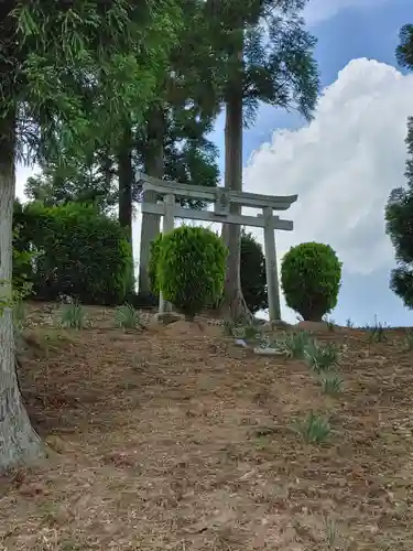 伏見稲荷大明神の鳥居