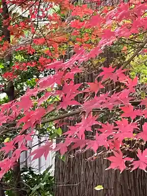 阿佐ヶ谷神明宮(東京都)