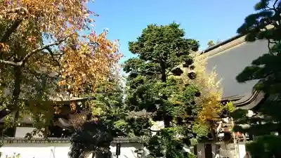 恵林寺のその他建物