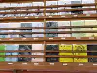 市神社(愛知県)