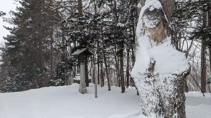 上川神社の自然