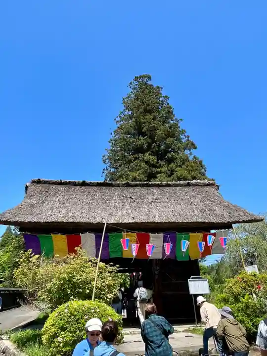 塩船観音寺(東京都)