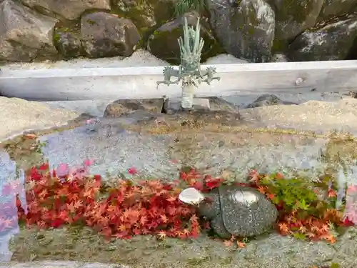 永光寺(牡丹不動尊) の手水舎