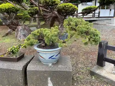 浜頓別神社(北海道)