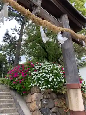 森・深江・青木 総氏神　稲荷神社の鳥居